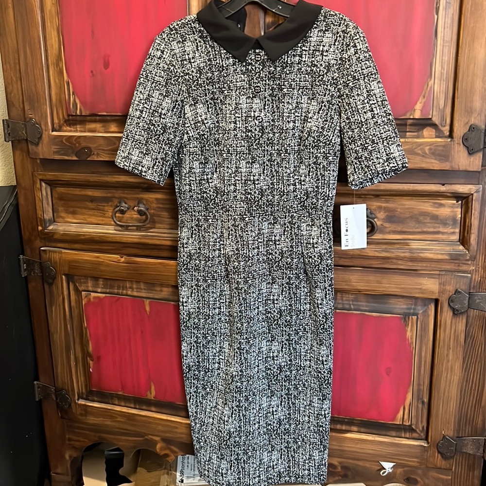 En Focus Mid-Length Dress, size 4